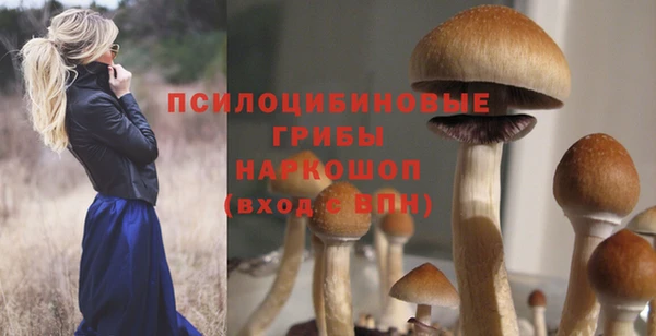 дживик Армянск
