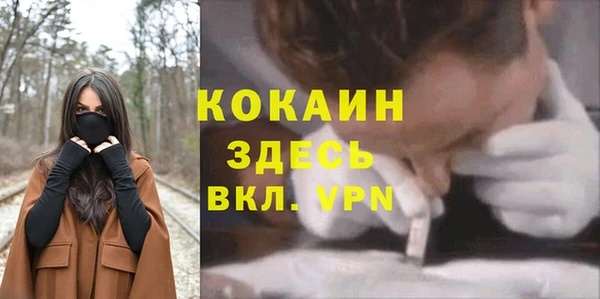 тгк Арсеньев