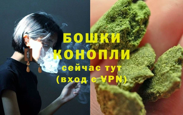 тгк Арсеньев
