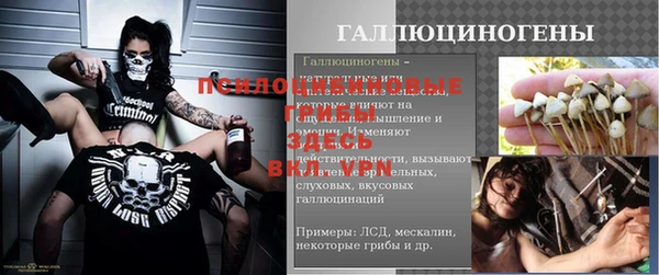 дживик Армянск