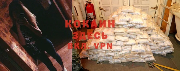 тгк Арсеньев