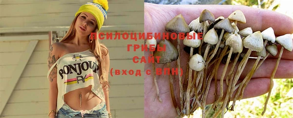 тгк Арсеньев